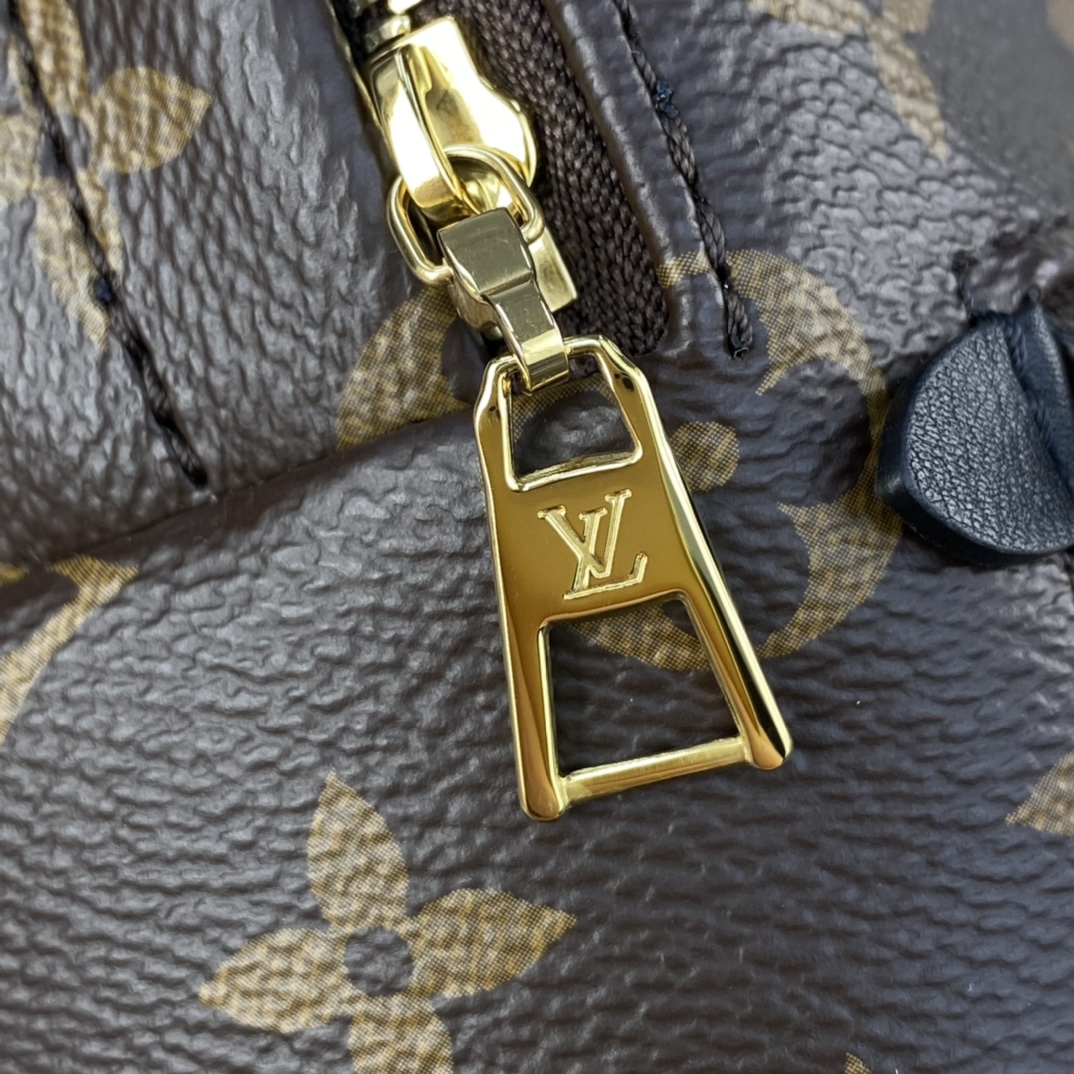 Louis Vuitton PALM SPRINGS PM Backpack Monogram M44871